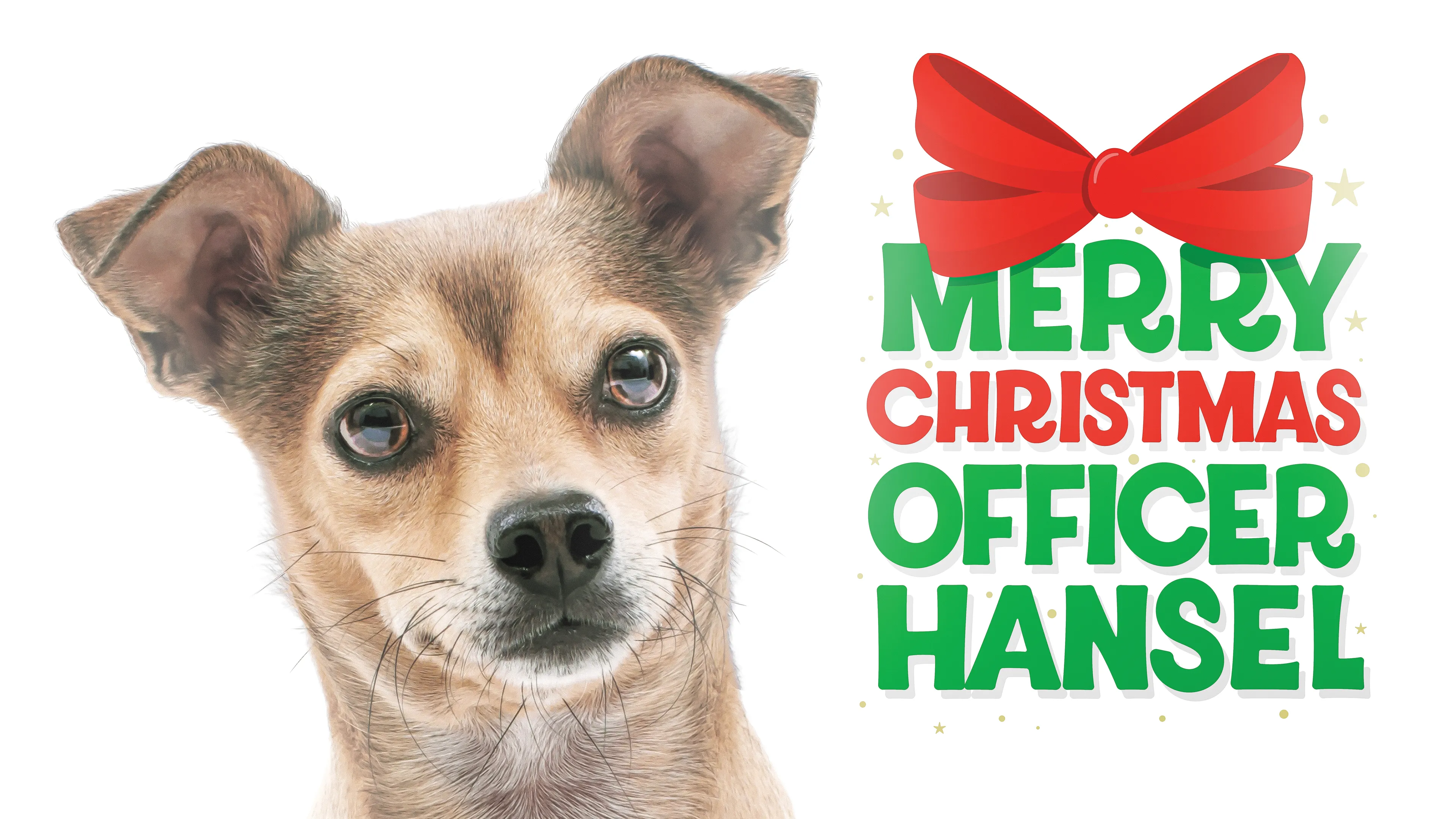 Merry Christmas Officer Hansel poster